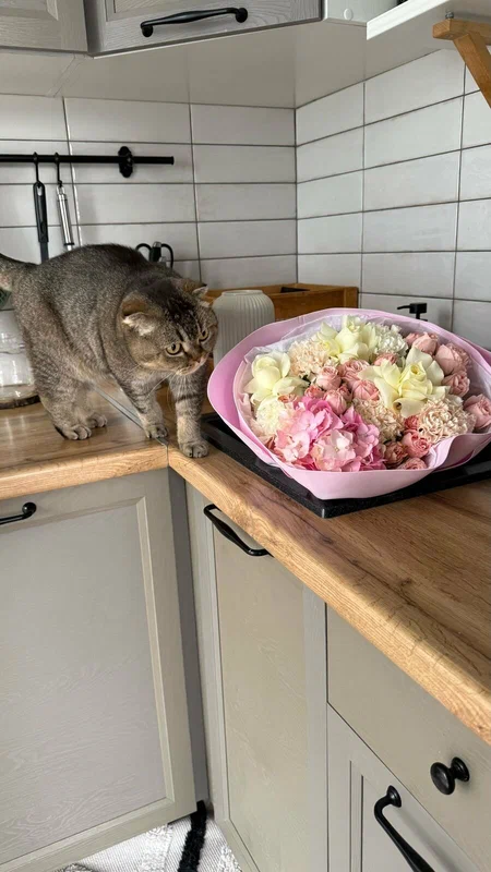 Цветочная Подписка