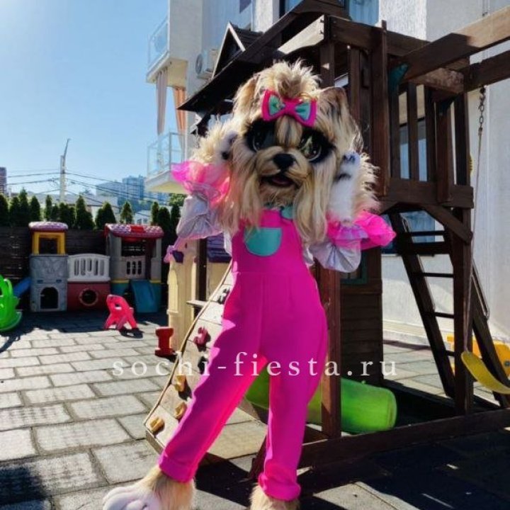 Аниматор Гламурная Собака в Нальчике