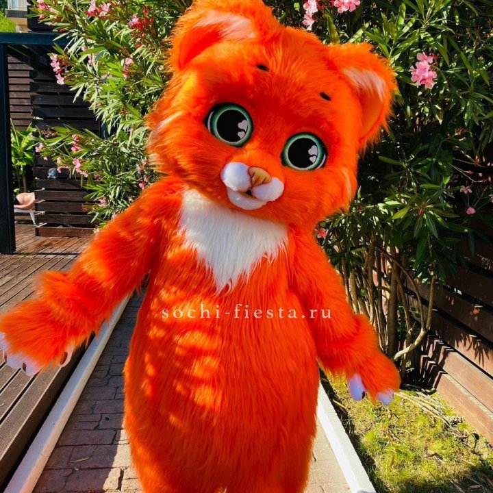 Аниматор Котик в Нальчике