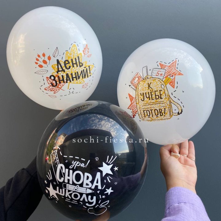 Воздушный шар к 1 сентября в Нальчике