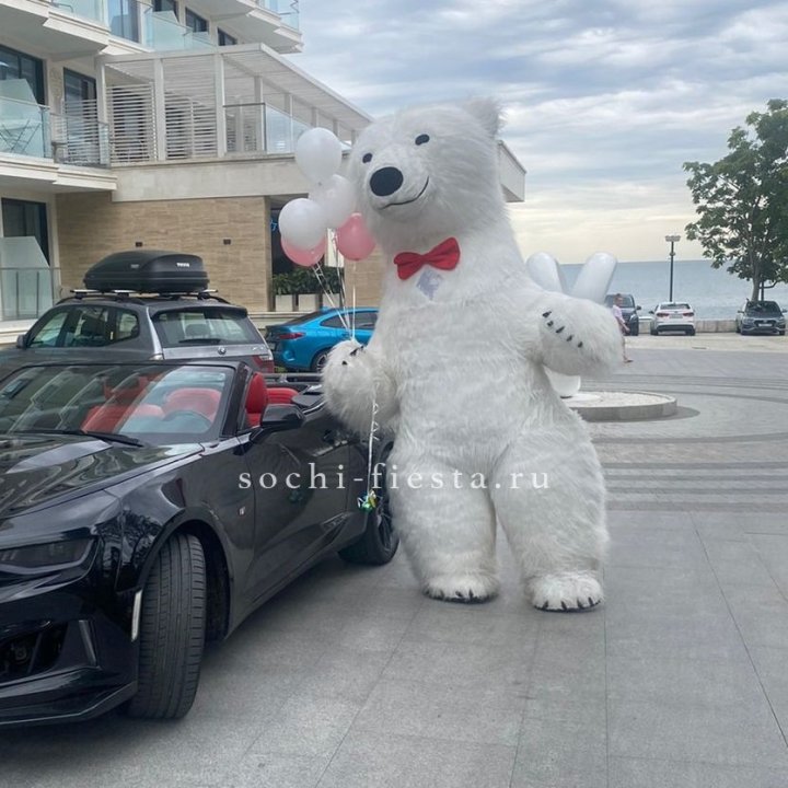 Аниматор Белый Медведь в Нальчике