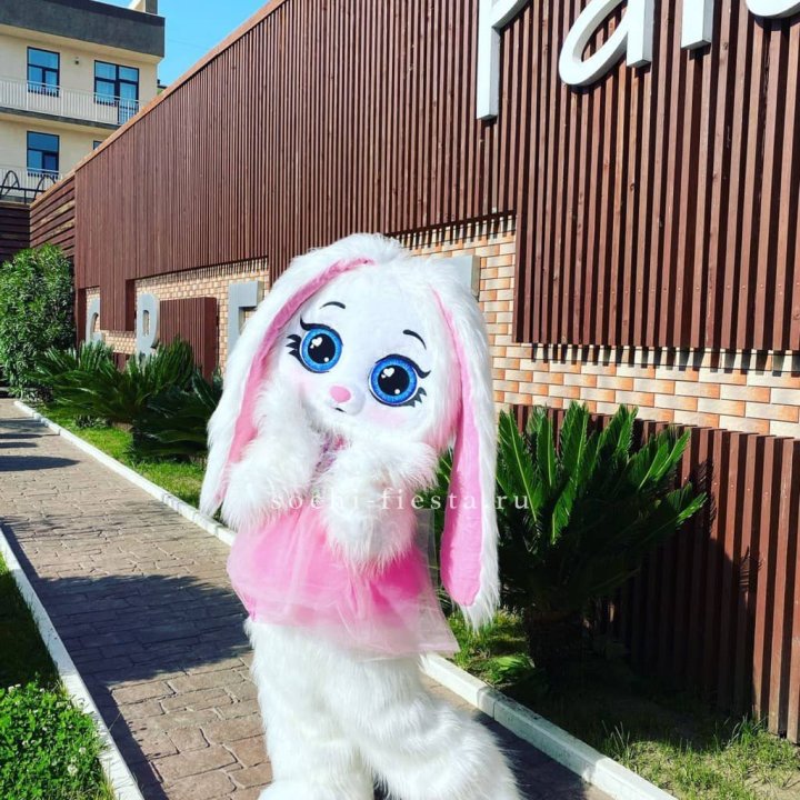 Аниматор Зайка в Нальчике