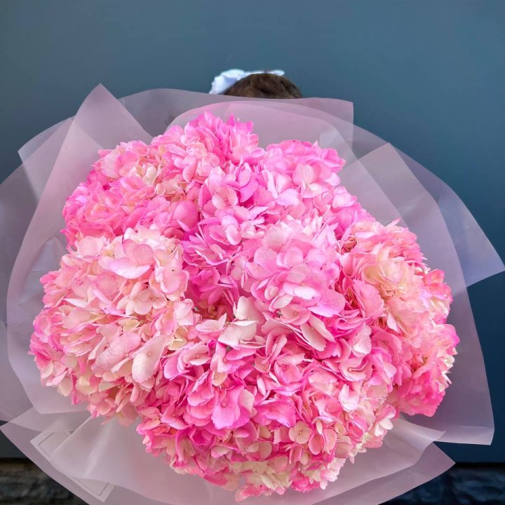 9 ярко розовых гортензий в Нальчике