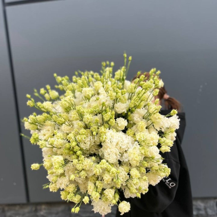 51 белая эустома в Нальчике