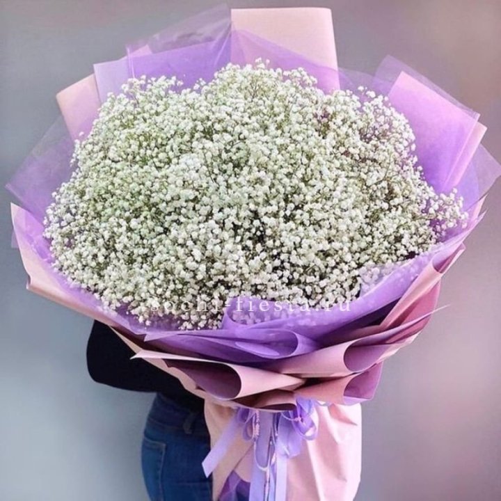 Облако белых гипсофил в Нальчике