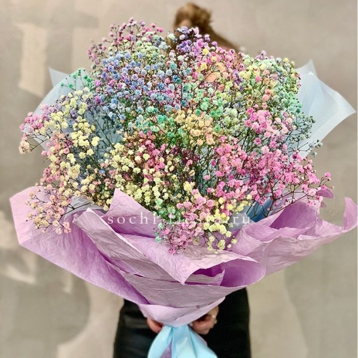 Радужные гипсофилы №2 в Нальчике