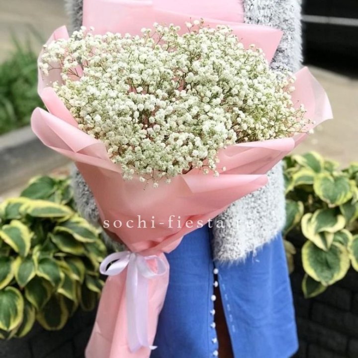 Белоснежные гипсофилы в Нальчике