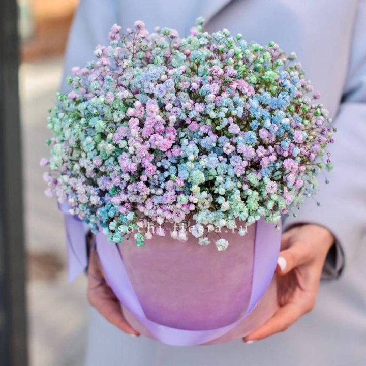 Гипсофилы в шляпной коробке "Кандилайт" в Нальчике