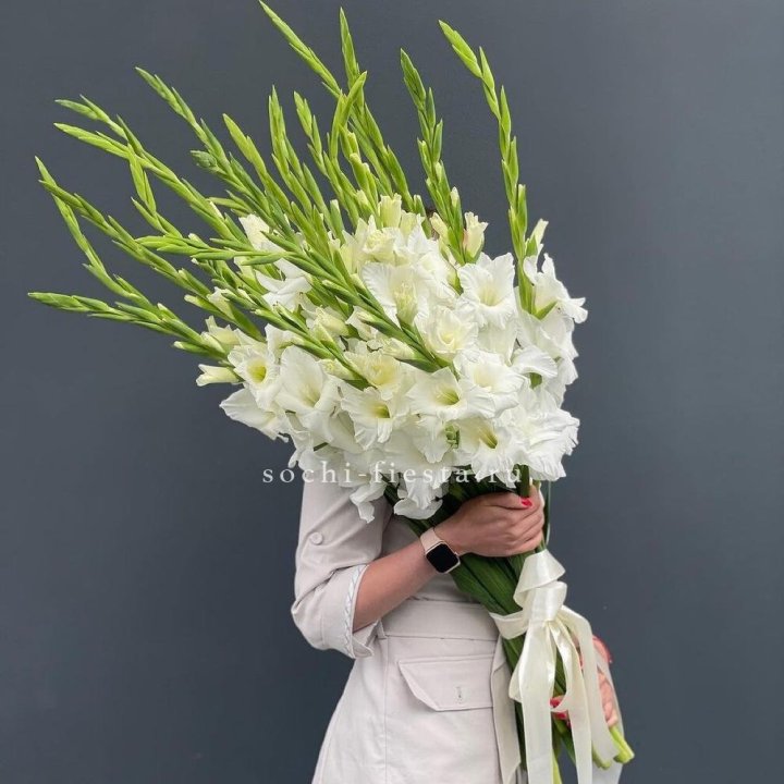 19 белых гладиолусов под ленту в Нальчике