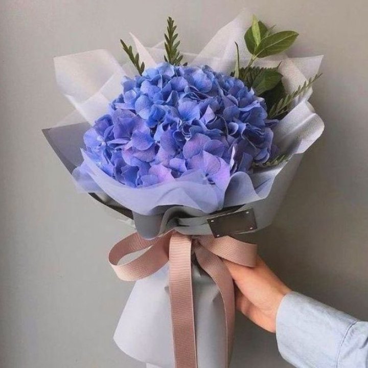 Гортензия голубая в Нальчике