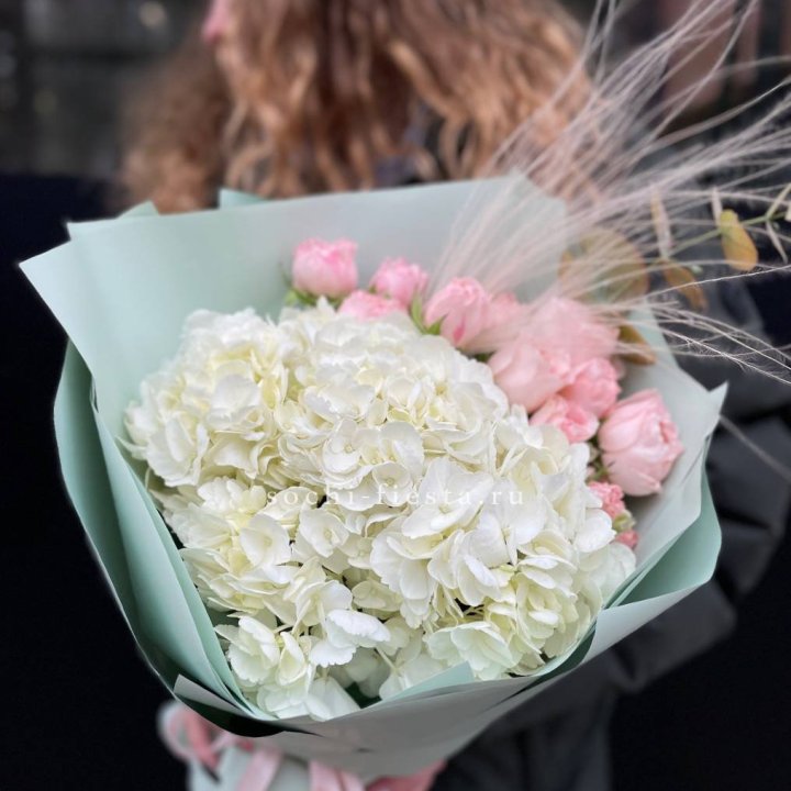 Гортензия "Жасмин" в Нальчике