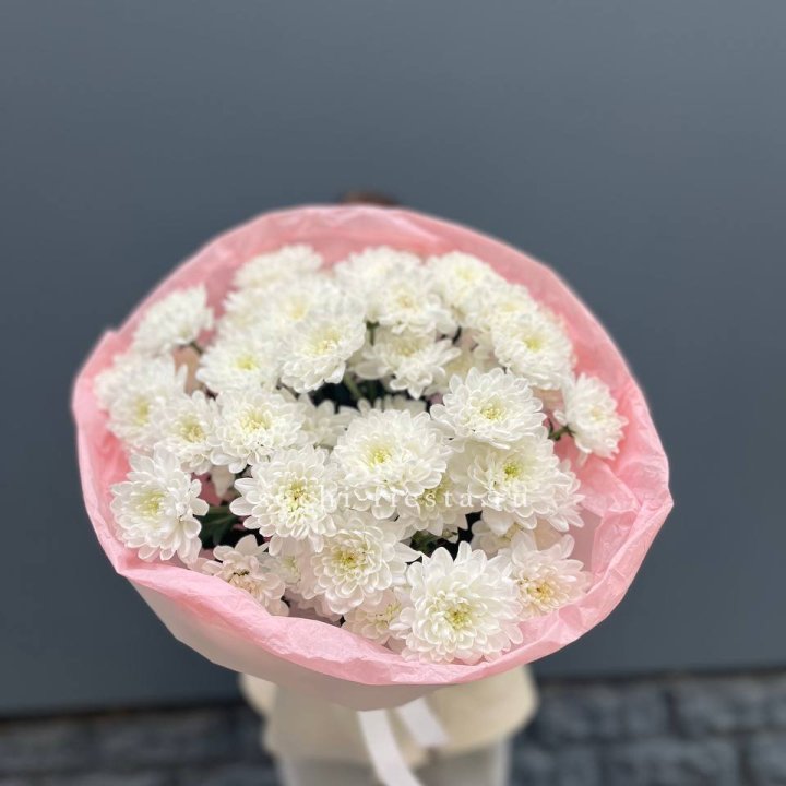  5 хризантем  в Нальчике