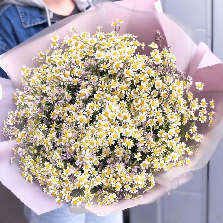 Букет ромашек №1 в Нальчике