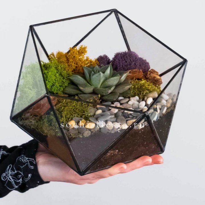 Флорариум “Икосаэдр” с суккулентом Каменная Роза в Нальчике