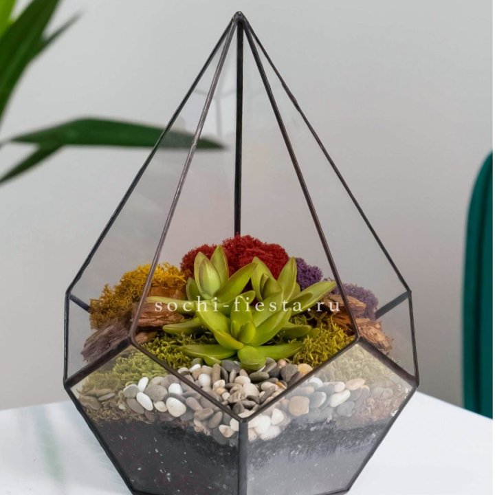 Флорариум Капля с суккулентом в Нальчике