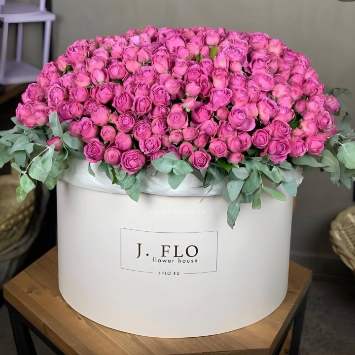 Цилиндр с Мисти Бабблс  в Нальчике