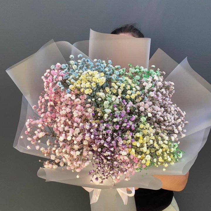 Радужные гипсофилы  в Нальчике