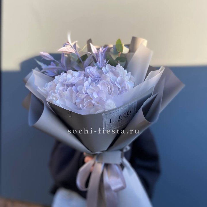 Гортензия "Виолета" в Нальчике