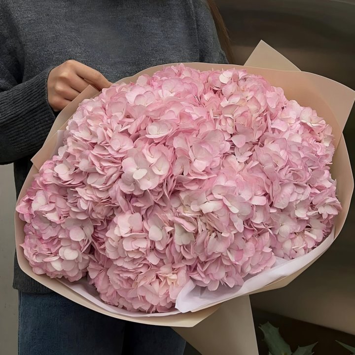 Гортензия  "РОЗЕ" в Нальчике