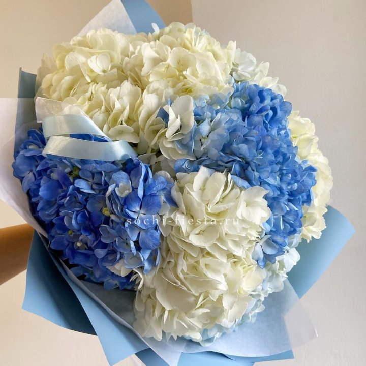 Букет гортензий "Голубая лаза" в Нальчике