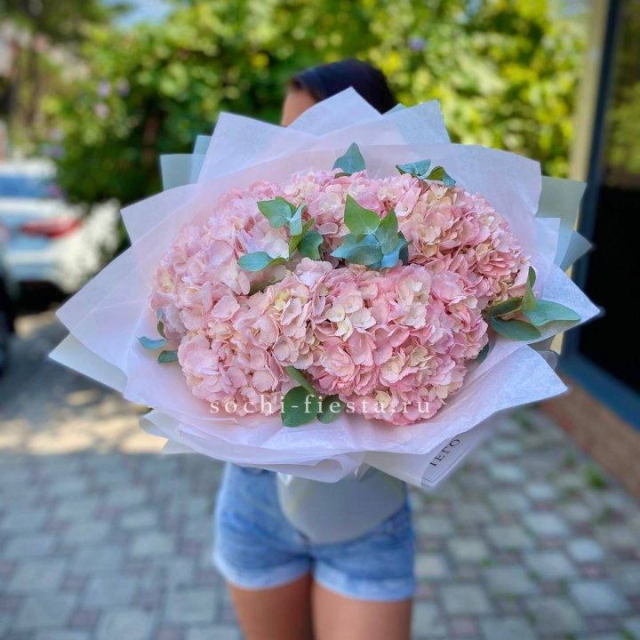 5 розовых гортензий  в Нальчике