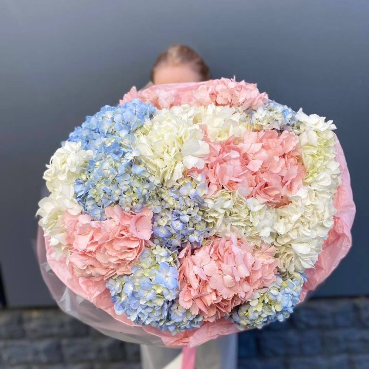 19 гортензий микс в Нальчике