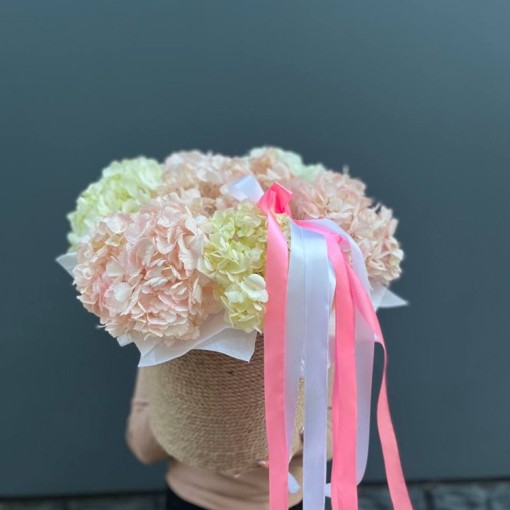 7 гортензий в кашпо в Нальчике