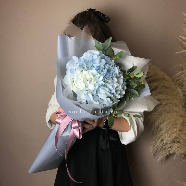 Гортензия Уно в Нальчике