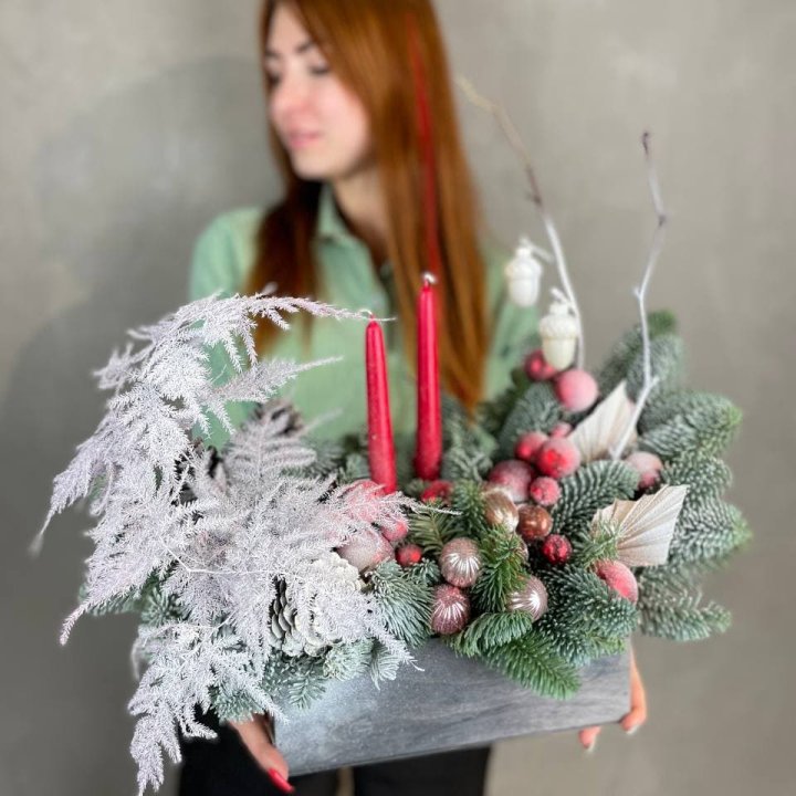 Бокс красный с нобилисом в Нальчике