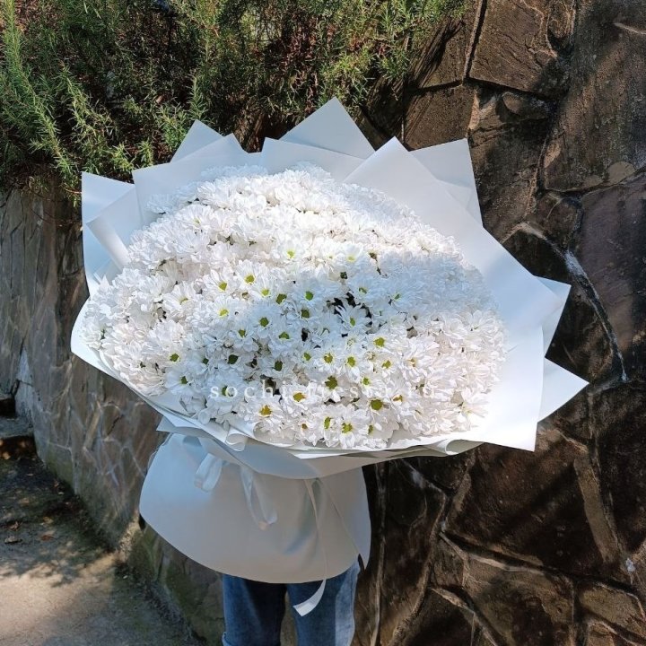 Облако хризантем №2 в Нальчике