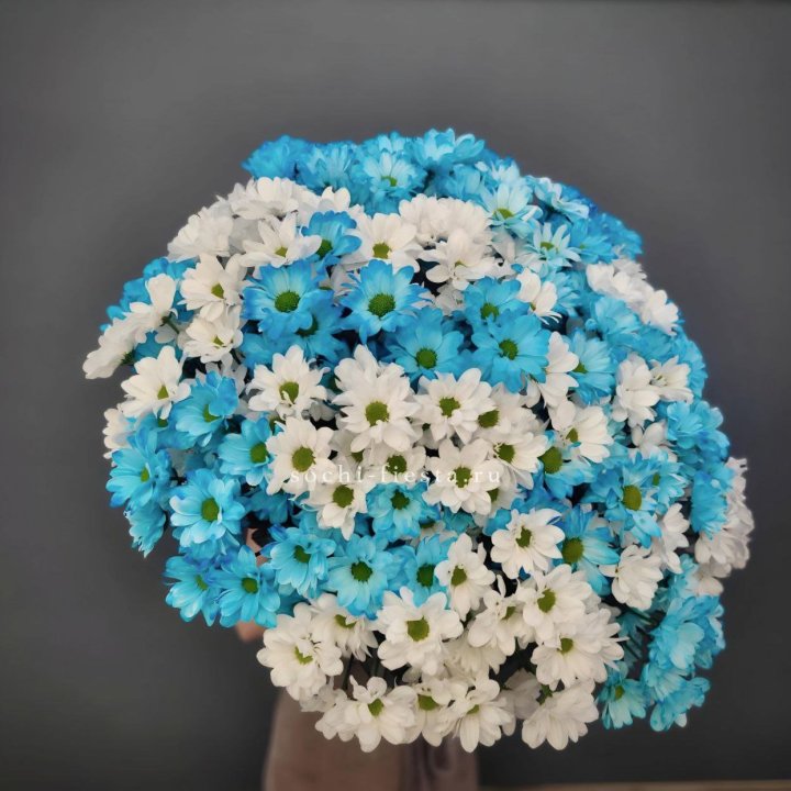  Букет хризантем микс в Нальчике