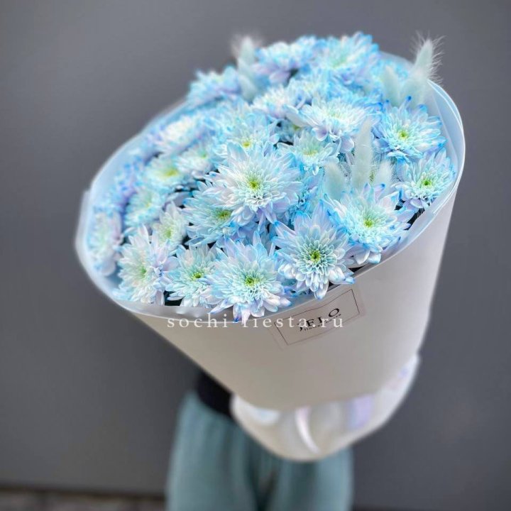  Букет нежно-голубых хризантем  в Нальчике