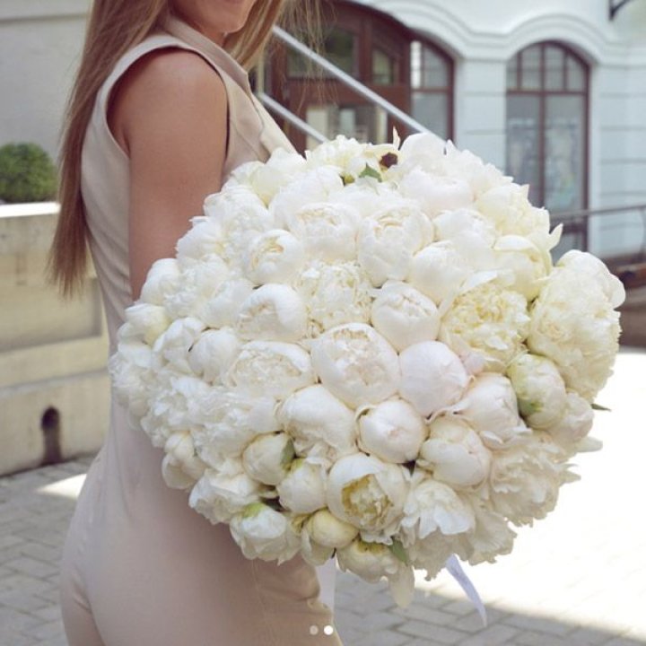 51 белый пион в Нальчике