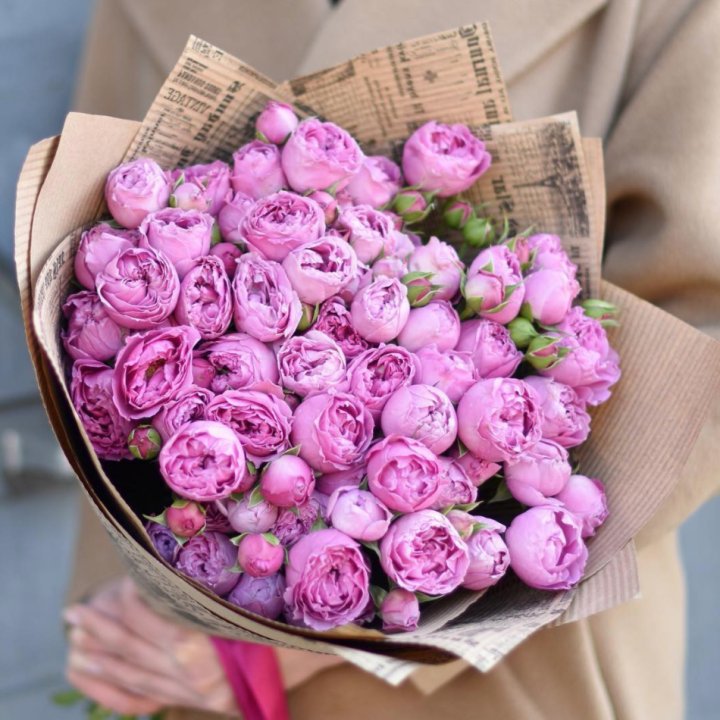 Роза Мисти Баблс в Нальчике