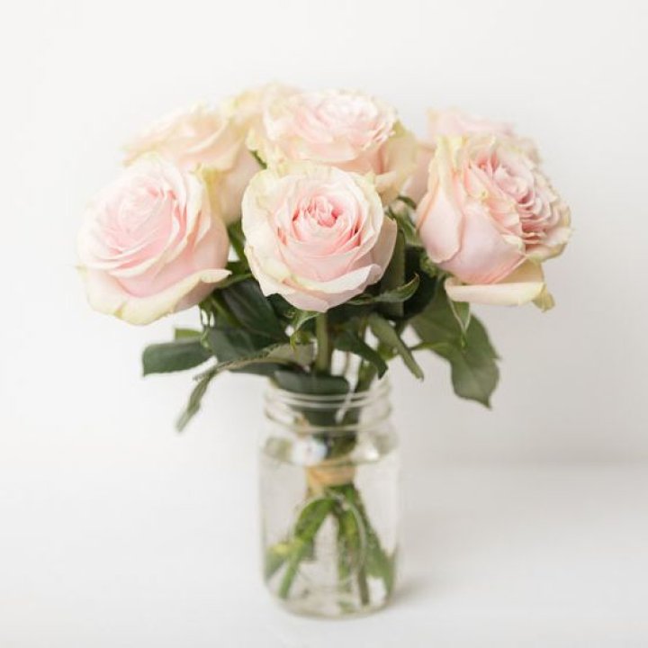 7 кремовых роз в Нальчике