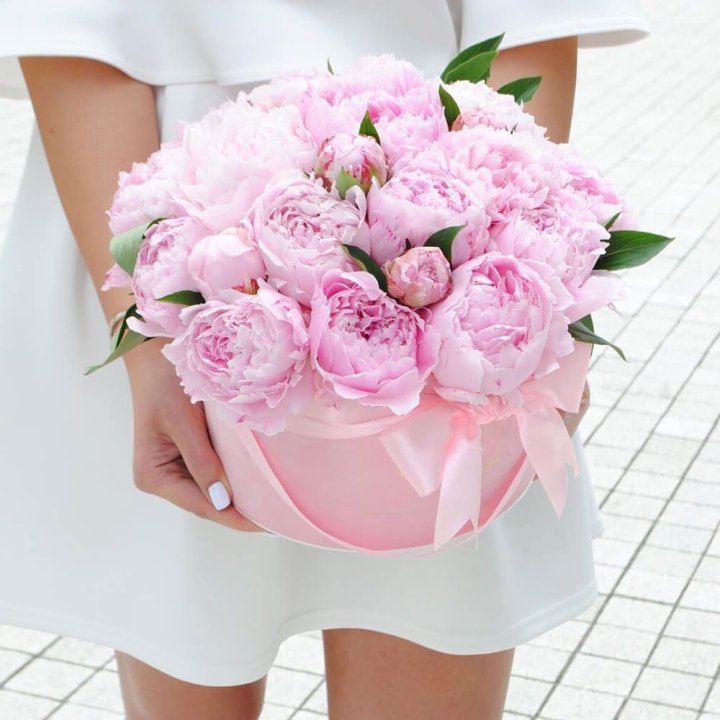 Пионы в шляпной коробке в Нальчике