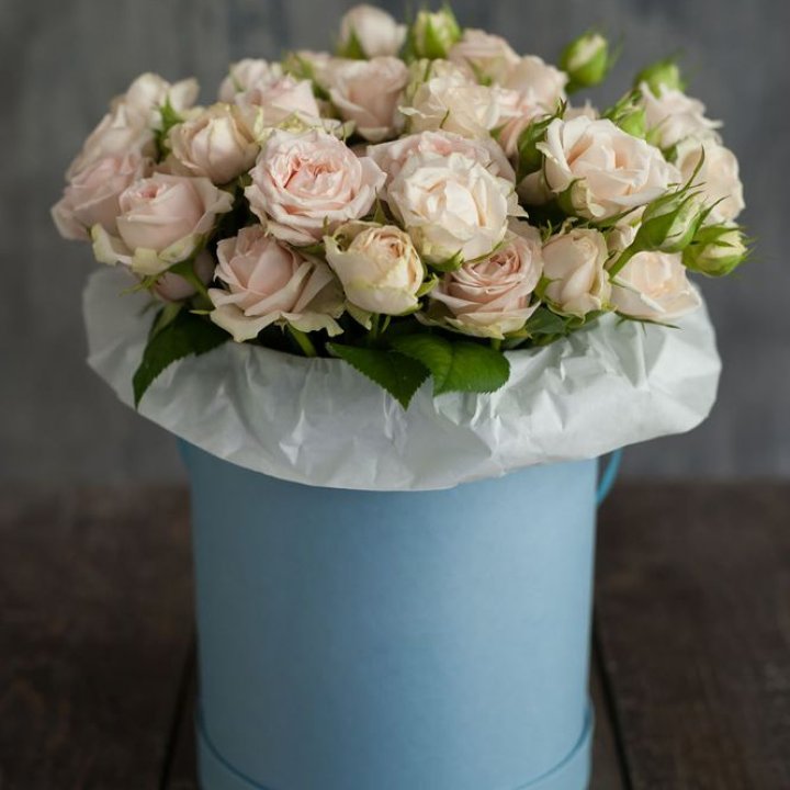 Бокс с бомбастиком в Нальчике