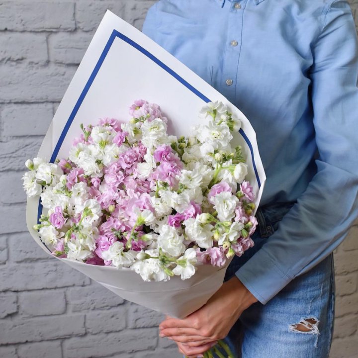 Маттиола в Нальчике