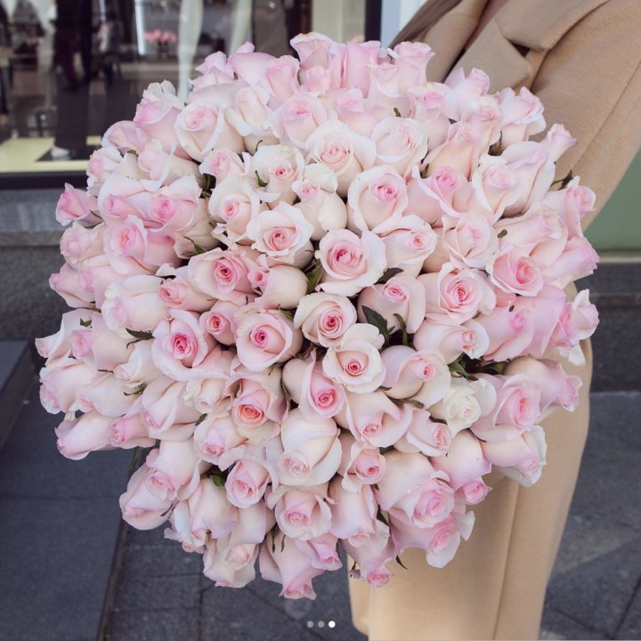 Розы "Пинк бум" в Нальчике