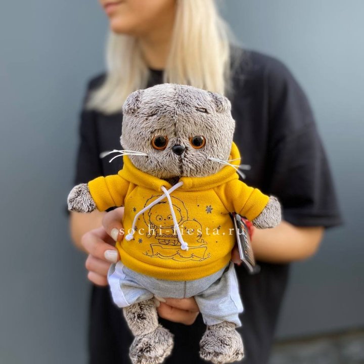 Кот Басик в худи в Нальчике