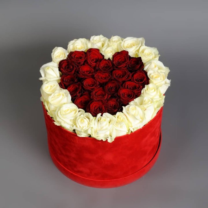 39 красных и белых роз в цилиндре в Нальчике