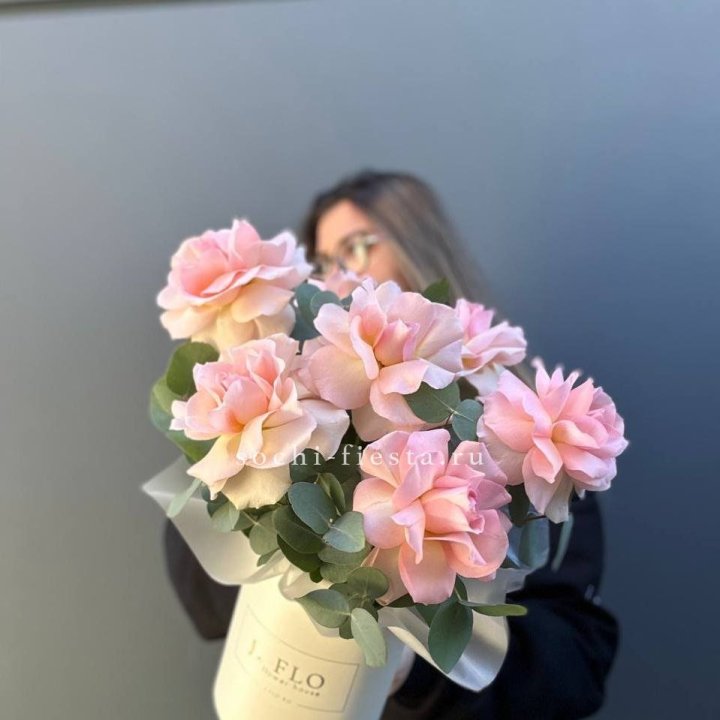 Французские роз в боксе в Нальчике