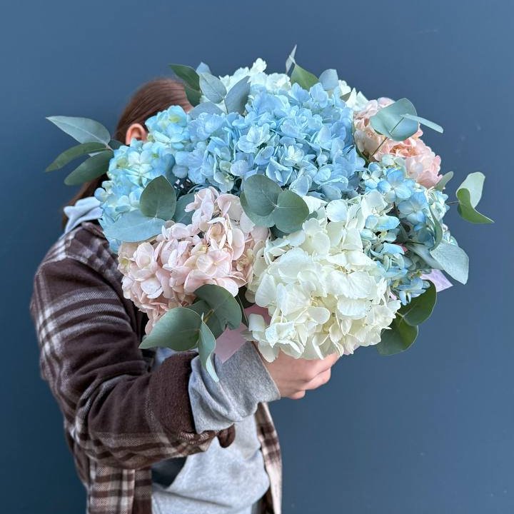 Гортензии в коробочке в Нальчике