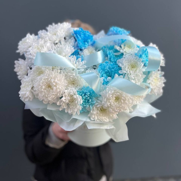 Хризнтемы в боксе в Нальчике