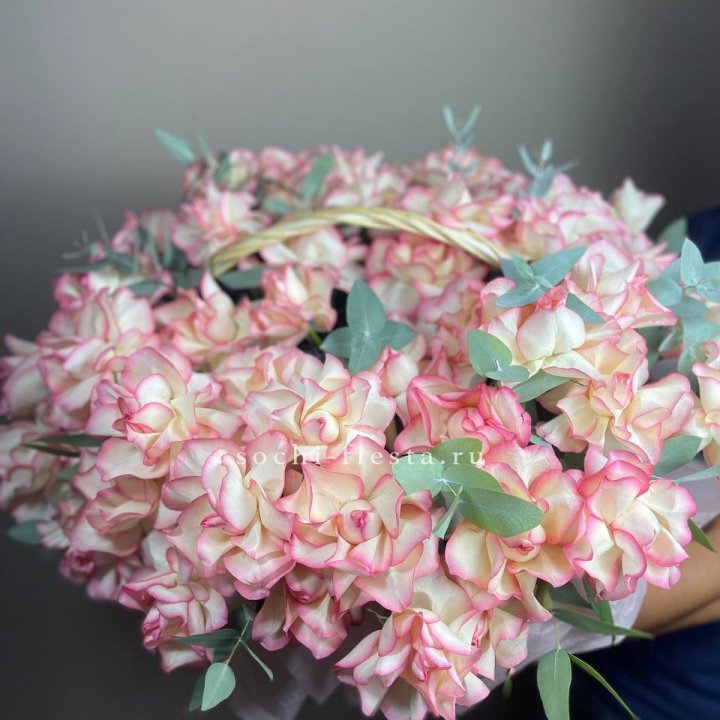 51 джумилия  в корзине   в Нальчике