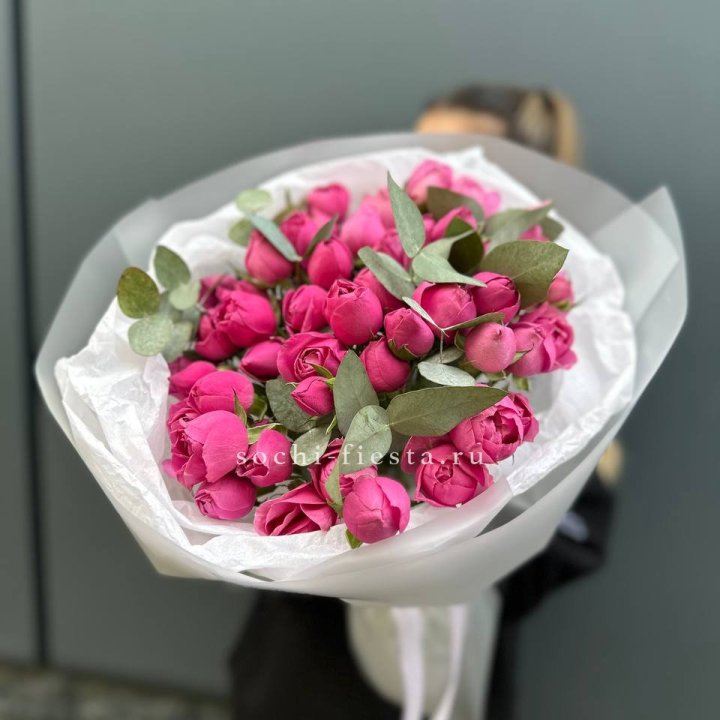 17 Мисти бабблс в Нальчике