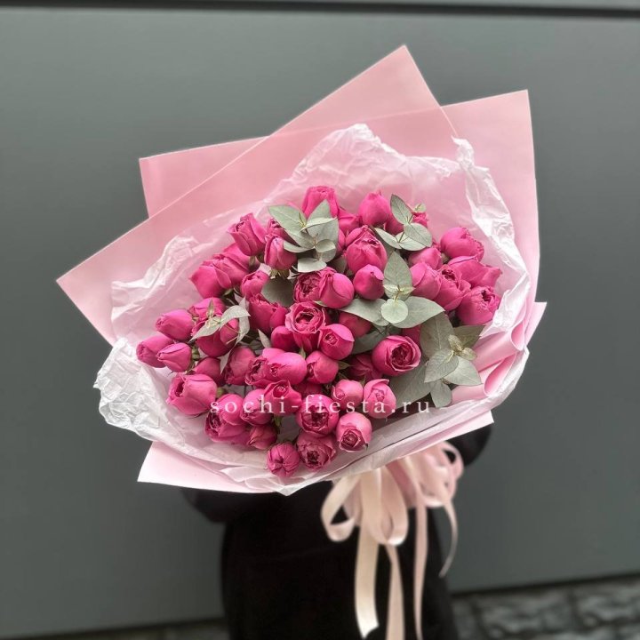 25 Мисти бабблс в Нальчике