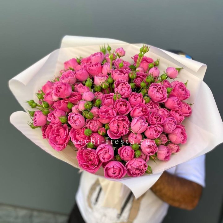 Мисти Баблс 35шт в Нальчике