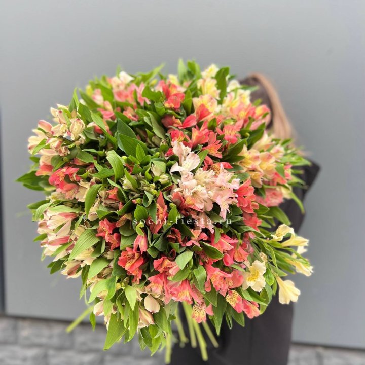 51 альстромерия в Нальчике