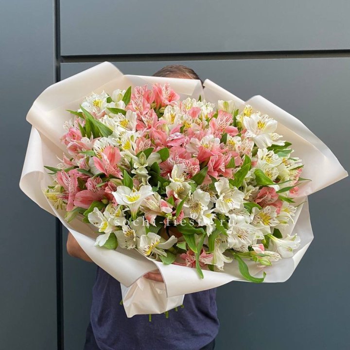 39 альстромерий в Нальчике